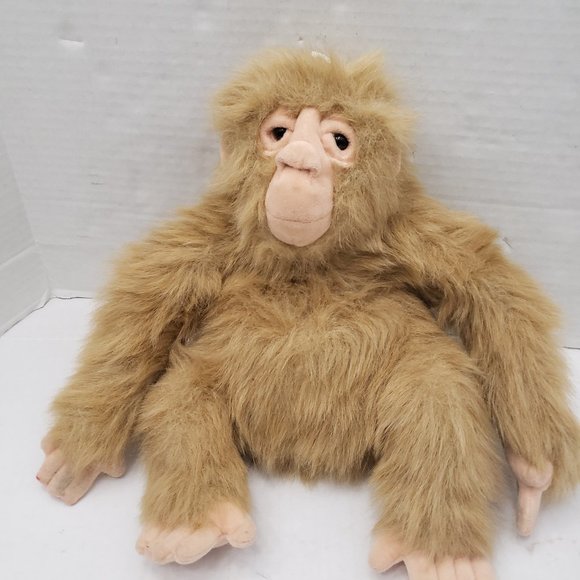dakin monkey